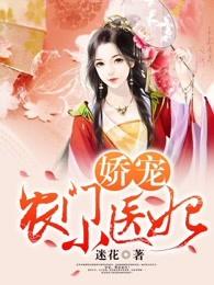 娇宠农门小医妃视频动漫