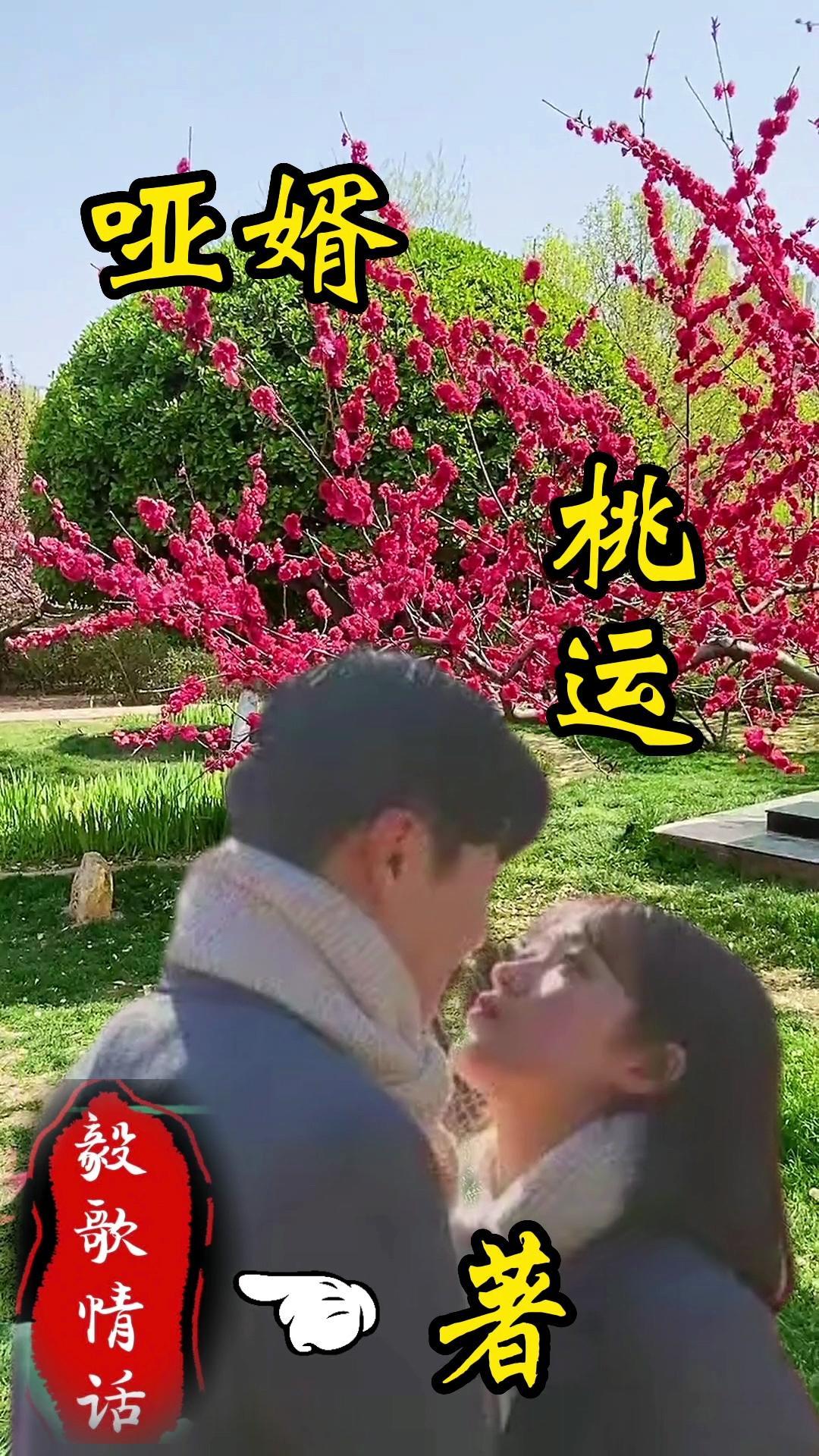 哑妻免费全文免费阅读