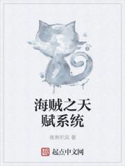 海贼之天赋重置系统