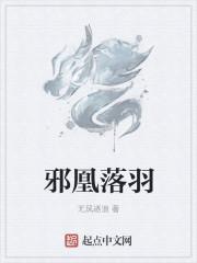 邪王妻羽落辰夕