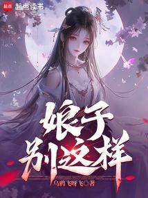娘子别这样正版阅读