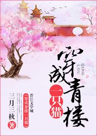 穿越青楼男
