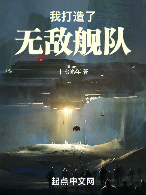 我打造了无敌舰队笔趣