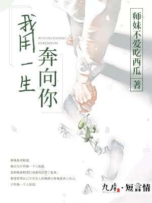 我用一生追寻是什么歌
