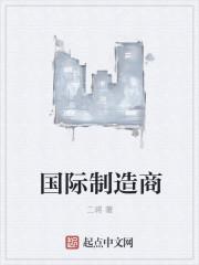 国际知名制造公司