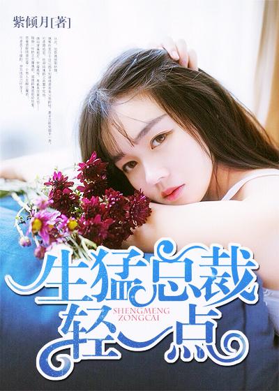 总裁轻点宠总裁