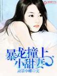 暴龙txt