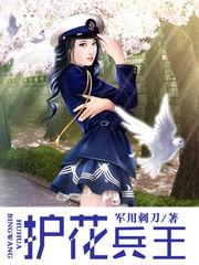 护花兵王下书网