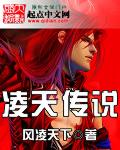 凌天传说大概内容