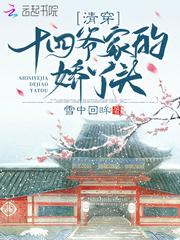 清穿十四爷是男主