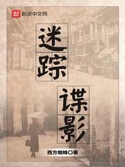 迷踪谍影精校版TXT免费