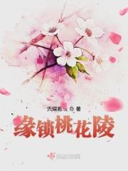 桃花锁钥匙