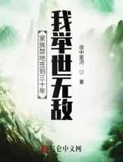 家族禁地签到三十年我举世无敌 夜中星河