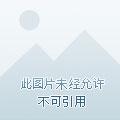 星辰道长是谁