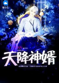 天降神婿完本