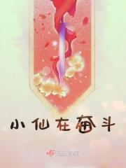 奋斗中的小灵仙
