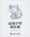 宠物小精灵之全球在线txt