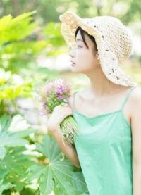 烟花易冷雷佳